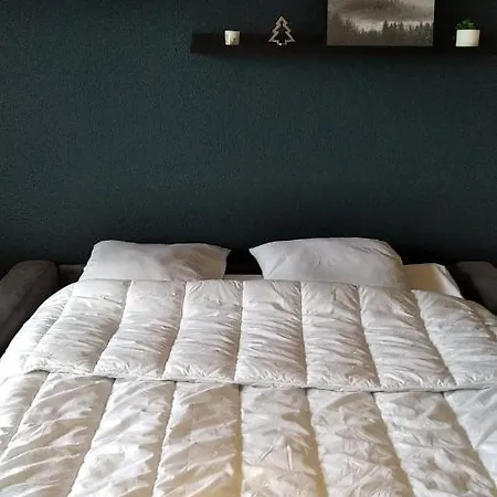 Apartment Et Montagne Gerardmer