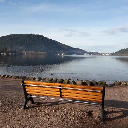 Apartment Et Montagne Gerardmer